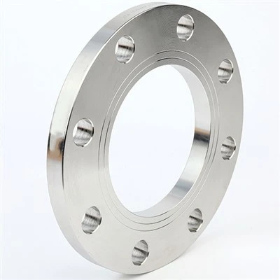 Hợp kim Hastelloy C276 DIN 2573 2576 2502 2503 Mặt bích phẳng dùng cho hàn