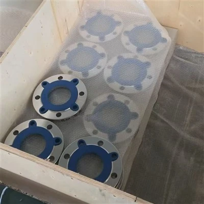 316 SS Slip-Trên (SO) Lớp 150 4-Mặt bích Inch